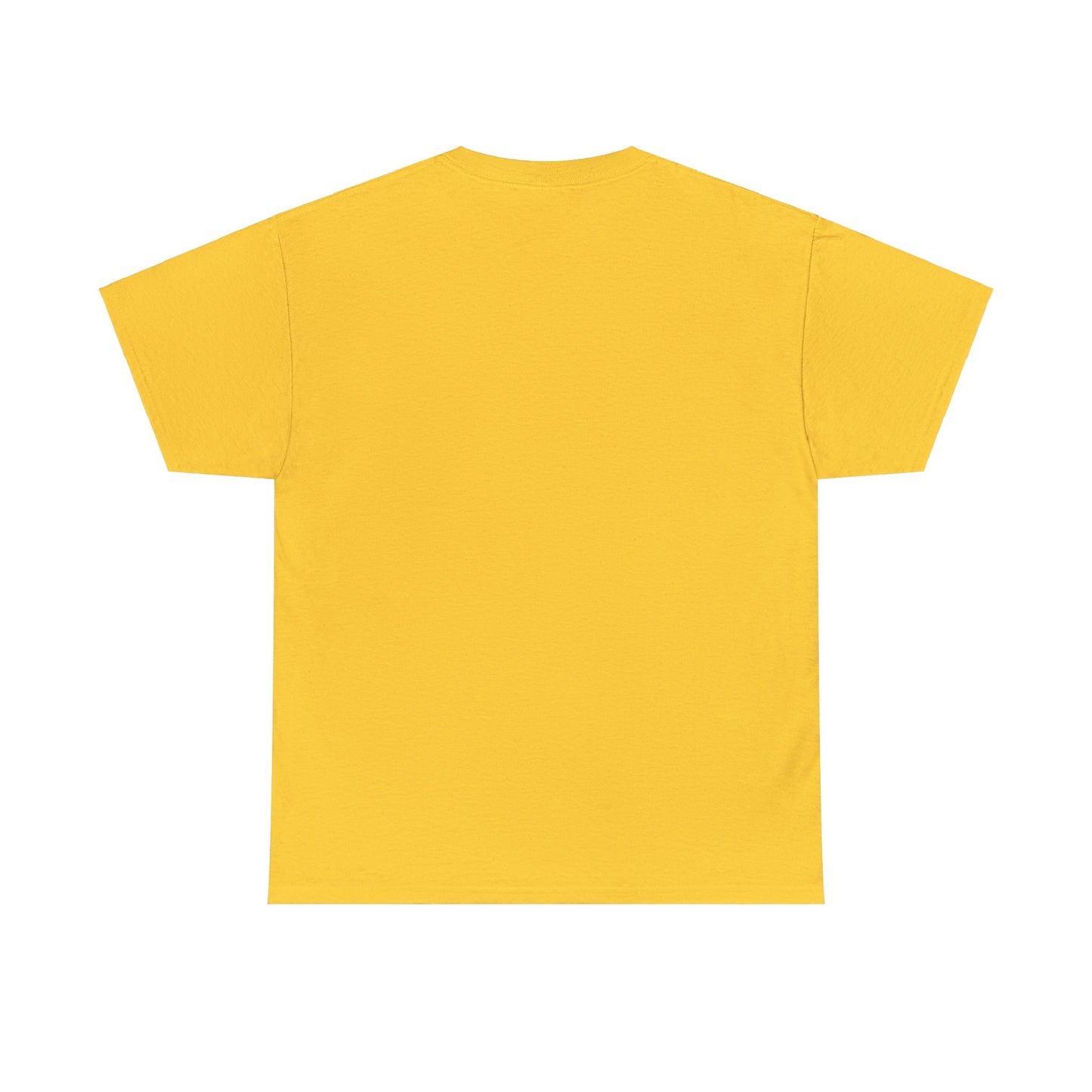 Everyday Conqueror Unisex Heavy Cotton Tee