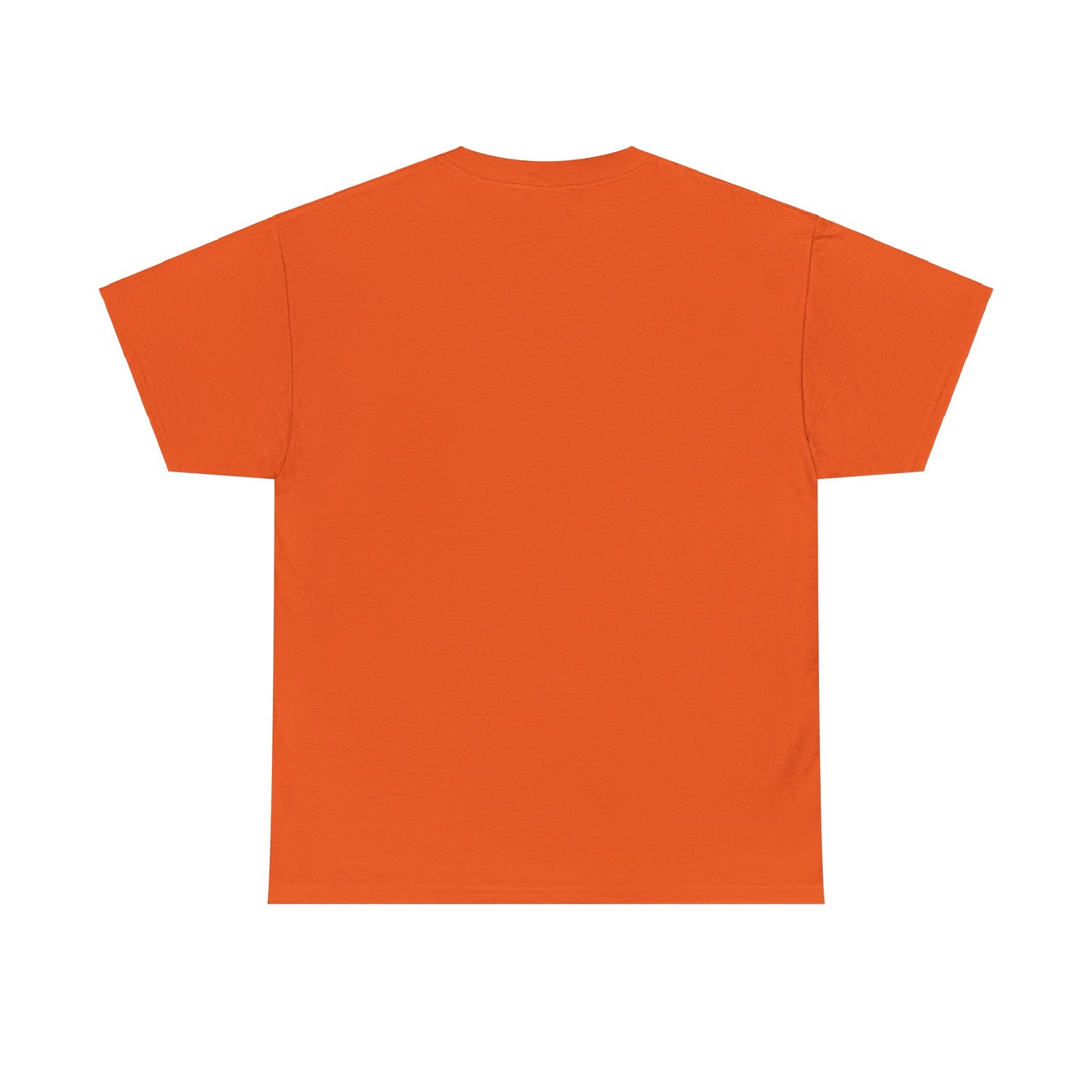 Everyday Conqueror Unisex Heavy Cotton Tee